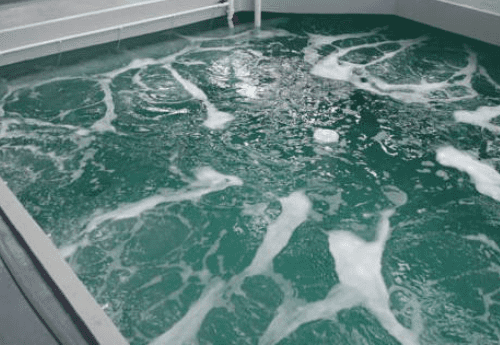 Indoor aquaculture is what we do