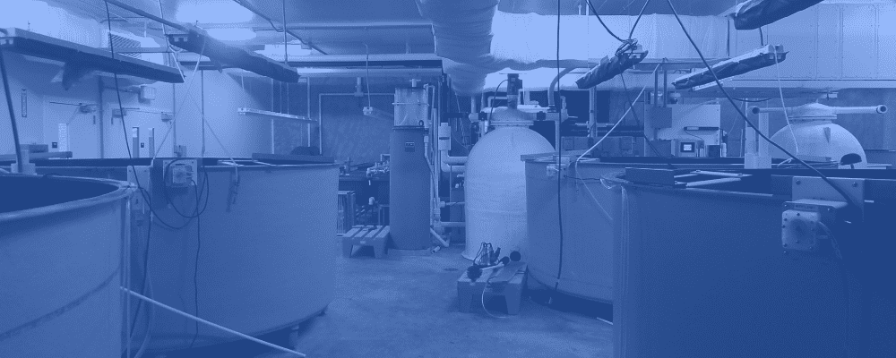 Repacking Larvae Systems